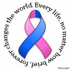 Team Page: Team Elias